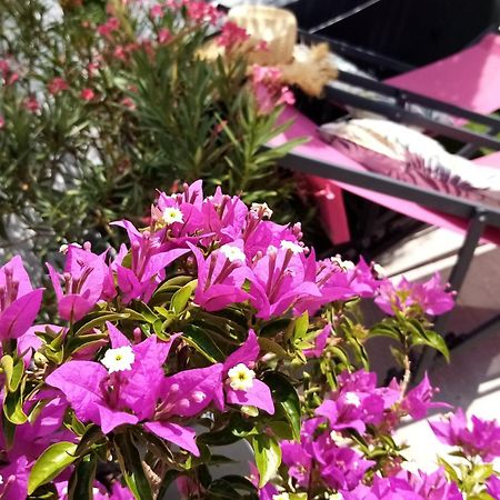 Le Petit Patio Bed & Breakfast Aigues-Mortes Exterior photo
